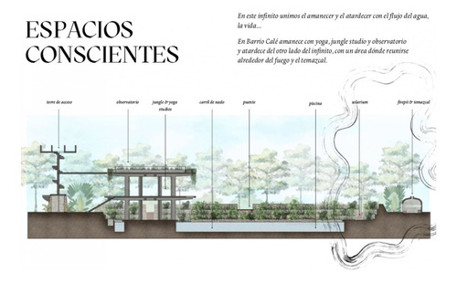 Imagen 7 de 8 de Terreno En Venta Barrio Calé Tulum