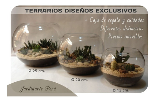 Terrarios Con Cactus Y Suculentas, Regalos Corporativos Etc