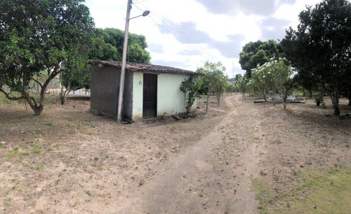 Imagem 2 de 4 de Chácara Para Venda Em Paulo Jacinto, Zona Rural - In - 0012_1-1995857