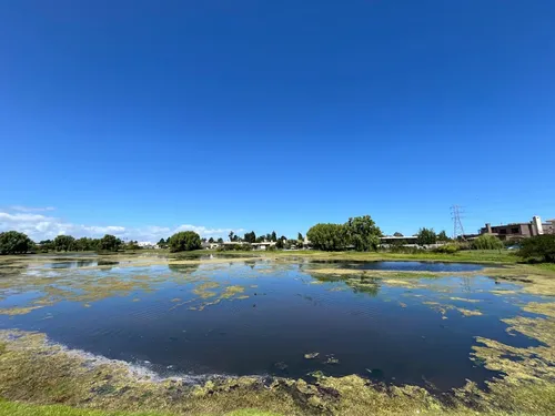 Viñedos De La Tahona, Último Fondo Al Lago
