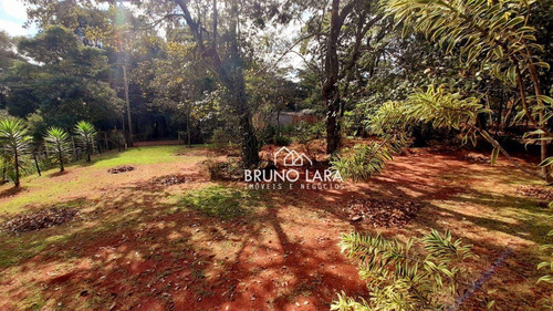 Imagem 6 de 29 de Sítio À Venda Em Igarapé Residencial Ouro Verde. - Si0102