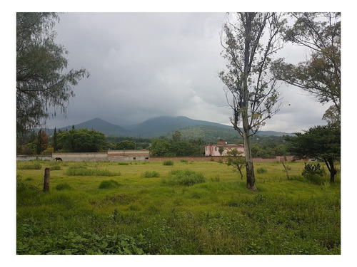 Imagen 1 de 3 de Terreno En Venta Santiago Cuautlalpan