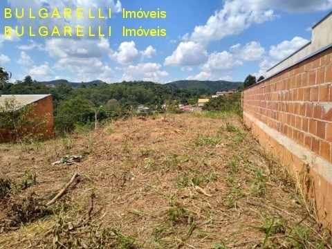 Imagem 5 de 7 de Terreno - Te01084 - 68546040