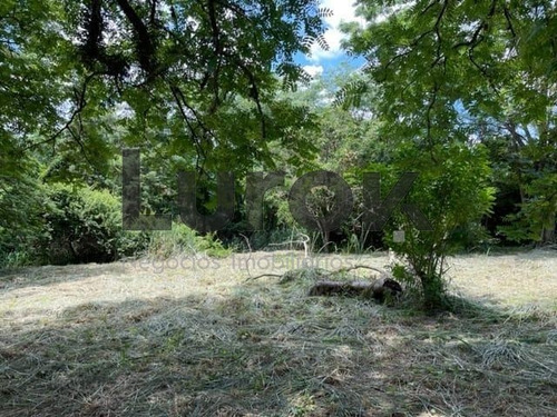 Imagem 3 de 10 de Terreno À Venda Em Vale Verde - Te006031