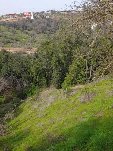 Cajon De Lebu - Se Vende Linda Parcela De 5000 M2