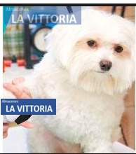Imagen 8 de 8 de Maquina Eléctrica Htc Para Mascotas Cortadora Profesional