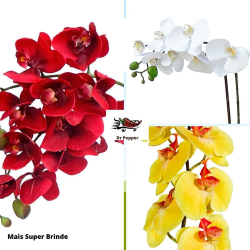 Kit 3 Orquídeas Phalaenopsis Adulta Flor Promoção Mais Adubo