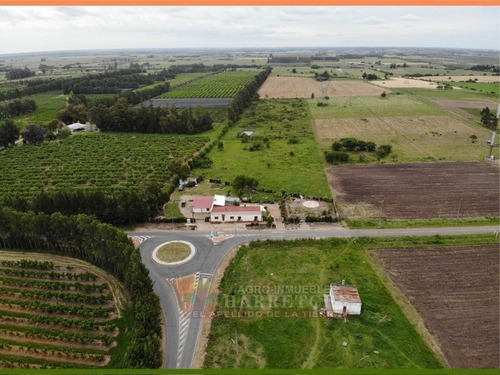 Venta De Chacra 3has.3 Dormitorios En Las Brujas, Canelones