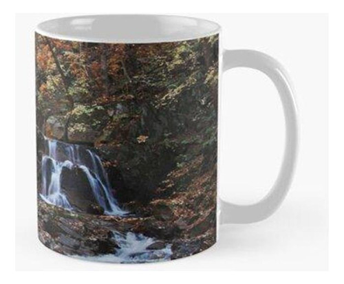 Taza Cascada Con Coloridas Hojas De Arce Calidad Premium