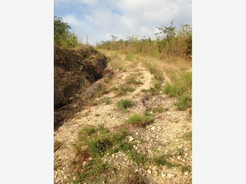 Imagen 4 de 4 de Terreno En Venta Rivera Cupia
