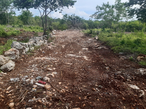 Terrenos Residenciales En Venta En Yaxkukul, Yucatán.