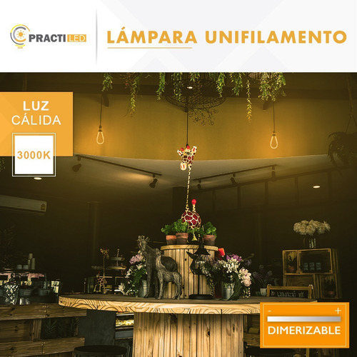 Imagen 4 de 9 de Lampara Unifilamento Dimmerizable 8w Vintage Pera