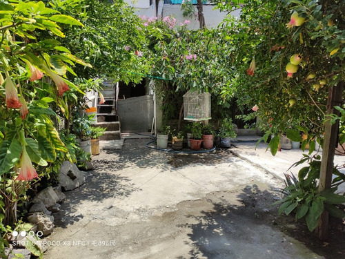 Gran Casa Amplia Con Jardin 2 Niveles Con Opcion A Ser 2 Departamentos Independientes