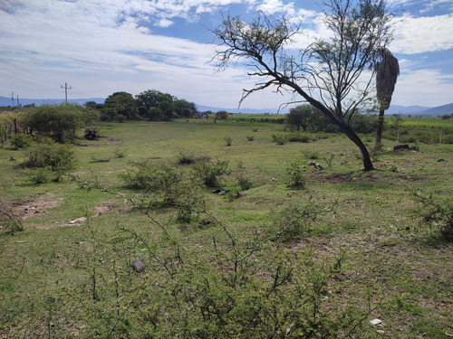Terreno En Venta En Ameca, Jalisco.