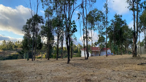 Vendo Amplia Parcela Con Casa En Litueche