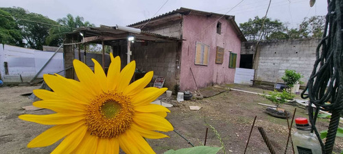 Imagem 9 de 14 de Mini Chácara Com Lago Em Itanhaém Litoral