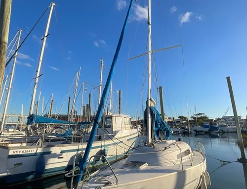 Velero Fm 800