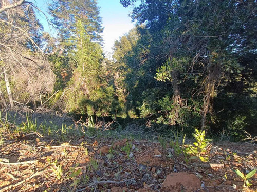 Vende Parcela Cond Piedra Blanca , Valdivia (108616)