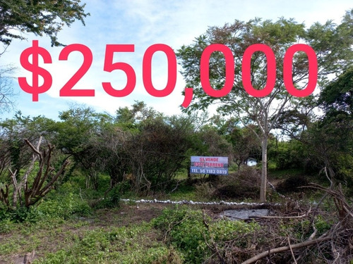 Imagen 5 de 14 de Terreno En El Tequesquitengo Morelos
