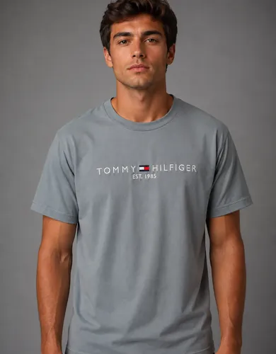 Camiseta Tommy Hilfiger 1985 Azul Raf Algodão Manga Curta Azul-raf P Masculino