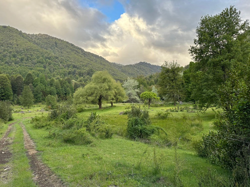 Hermoso Campo De 57 Hectáreas En Curacautín - Río Y Bosque 