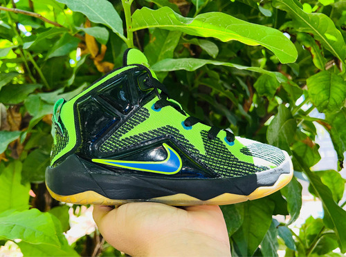 Tenis Nike Lebron