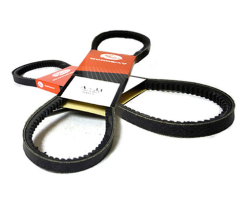 Correa Accesorio Tipo A49 Universal