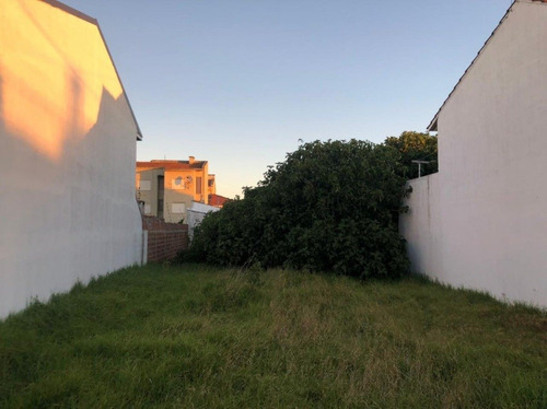 Imagen 1 de 7 de Lote En Barrio Residencial