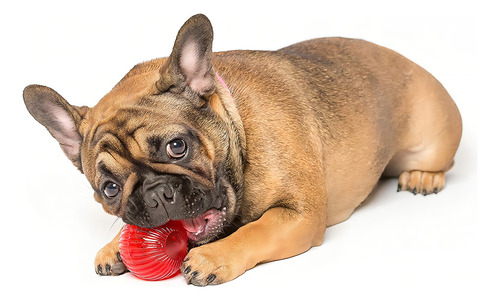 Blinky Babble Ball De Pet Qwerks, Masticable Interactivo Par
