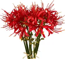 Comprar Xizhi 5 Tallos Flores Artificiales De Lirio De Araña De 23,6