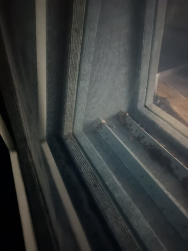Ventana Visor Para Estudio De Grabación (pecera) Negro (Usado)