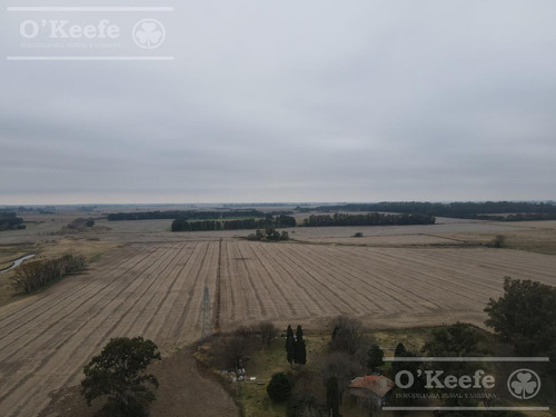 Imagen 7 de 29 de Chacra Agricola En Venta 32 Has- San Pedro