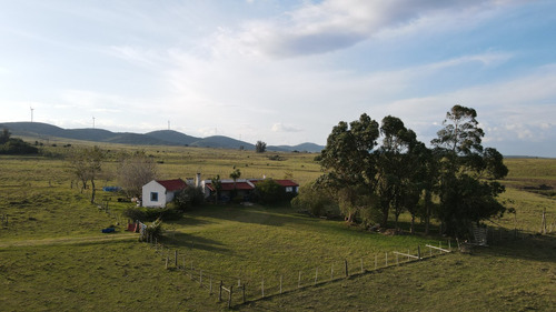 Venta De Chacra Con Casa De Campo En Maldonado-uruguay. Ref: 608