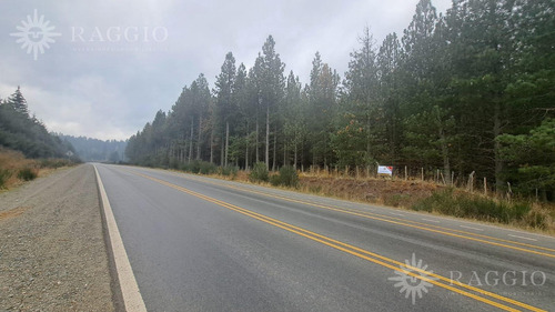 Chacra De 1,5 Has Sobre Ruta 86 Mallin Ahogado (su-17)