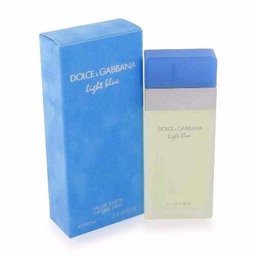 Perfume Dolce & Gabbana Light Blue 100ml Edt - Le Parfumeur