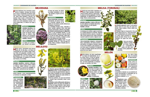 Plantas Curativas