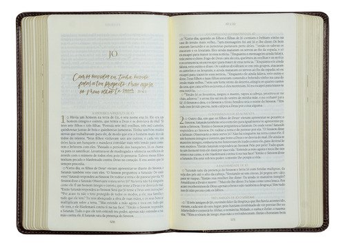 The Purpose Book: Bíblia Sagrada, A21, Capa Couro-soft Marrom, Cruz