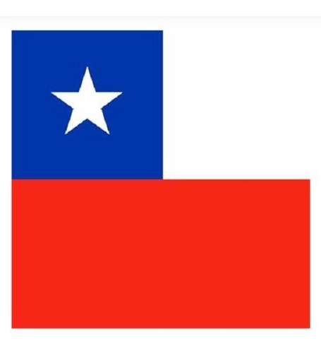 Bandera Chilena Estampada / Sanfex - S0504