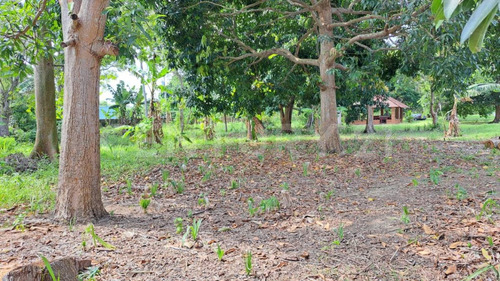 Terreno Venta Jiménez Nacajuca Tabasco
