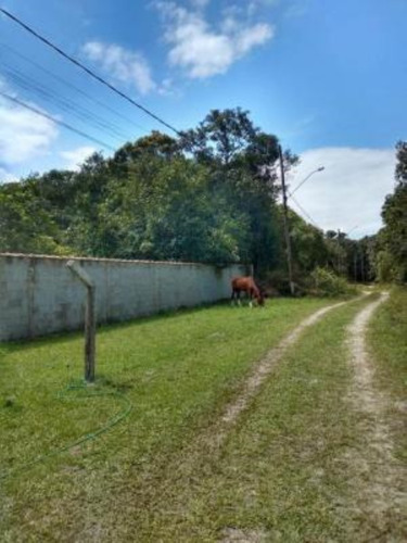 Imagem 15 de 17 de Chácara Murada No Jardim Coronel, Em Itanhaém, Litoral Sul De São Paulo, Localizado Lado Serra. Imóvel Com 1575 M² De Área Total, Sendo 135 M² De Área Construída. Possui Arvores Frutíferas, Varanda, W