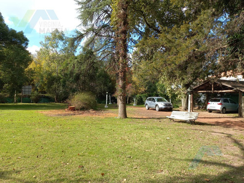 Vmaffia Vende Gran Terreno De 5000m, Ideal Emprendimiento. Calle Saravi A Mtrs De Panamericana.