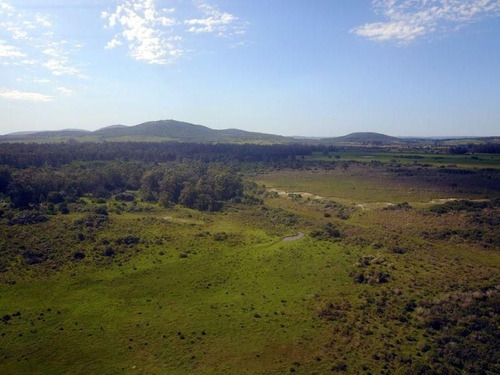 Chacra En Punta Negra, Piriápolis