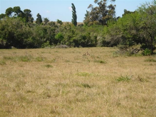 Campo En Venta En None