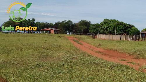 Imagem 4 de 4 de Fazenda À Venda Em Santa Rita Do Pardo- Ms-de 1.995 Hectares-dupla Aptidão - 1773