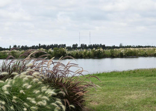 Imagen 1 de 9 de Terreno En Venta Ubicado En Virazón, Nordelta, Tigre