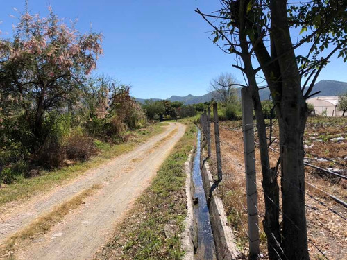 Imagen 13 de 14 de Terreno Carretera Tenancingo - Zumpahuacan Km 15