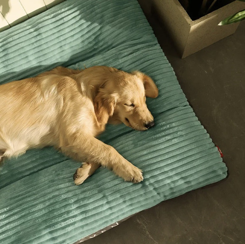 Cama Colchon Premium Con Cierre Mascotas Perros Xxl 120 Cms