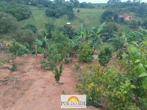Imagem 7 de 10 de Chácara Em Pedra Bela/sp - 0211
