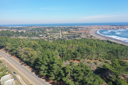 Desarrollo Inmobiliario Frente Al Mar En Punta De Lobos