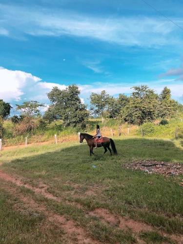Vende-se Chácara